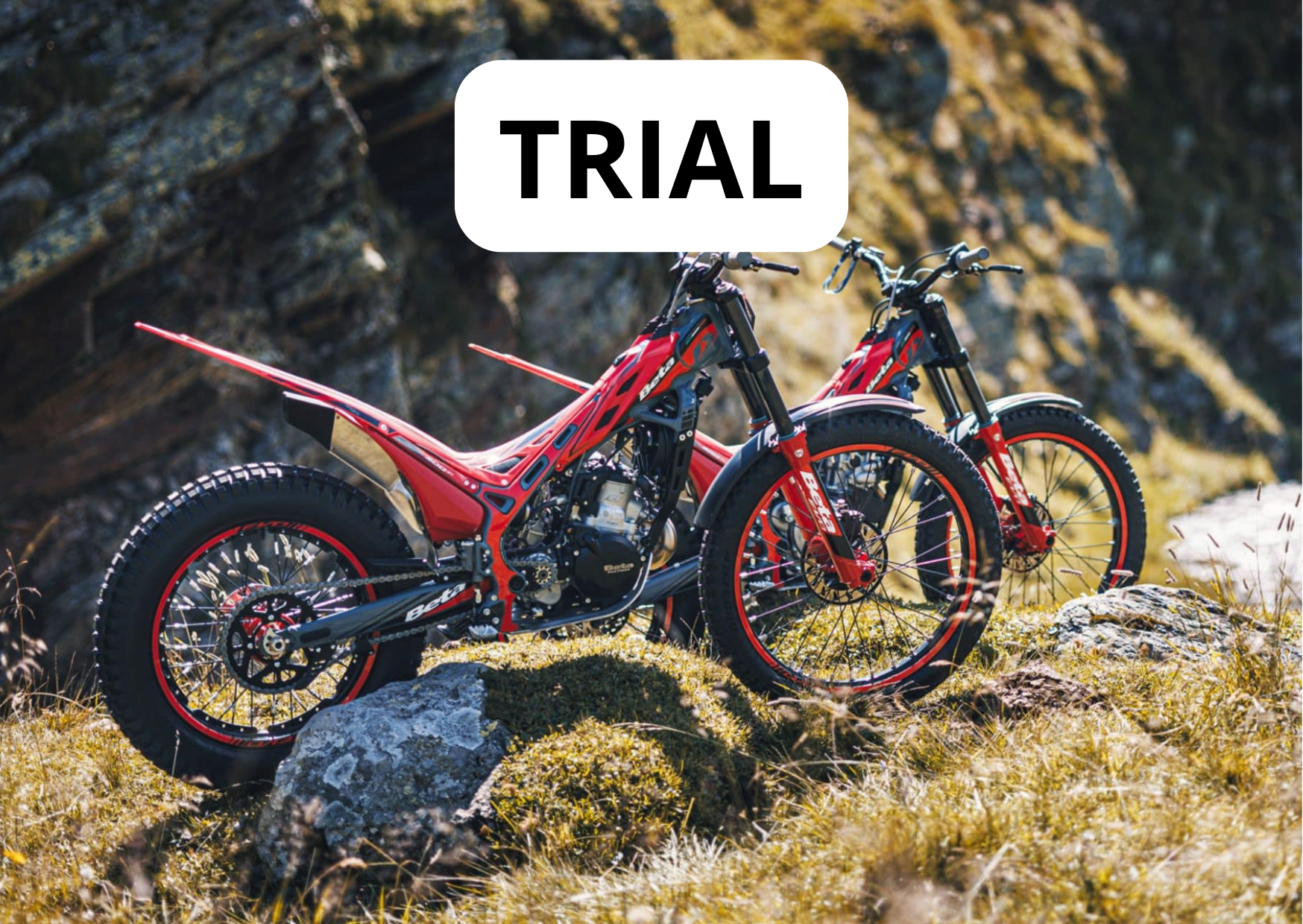 Beta Trial